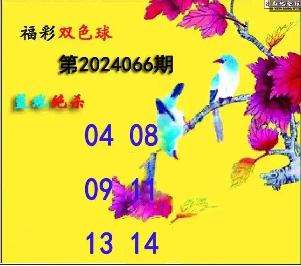2024年066期双色球图谜汇总 - 双色球字谜图谜 - 彩吧论坛